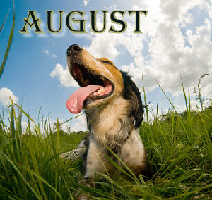 August Is “Dog Days Of Summer” Month