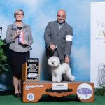 "Orion" - Tullahoma Kennel Club Of Tennessee, Inc.