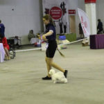 "TENLEY" - 3,5 months old, BEST BABY specialty show